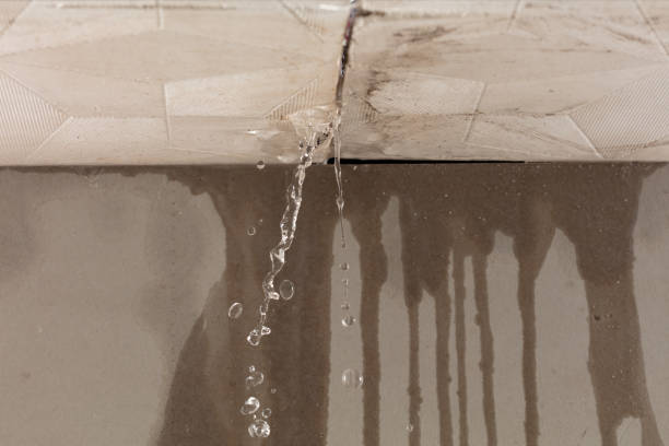 Professional Flood Damage Cleanup technician working in Blue Point, NY